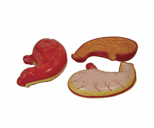 BioLab Products